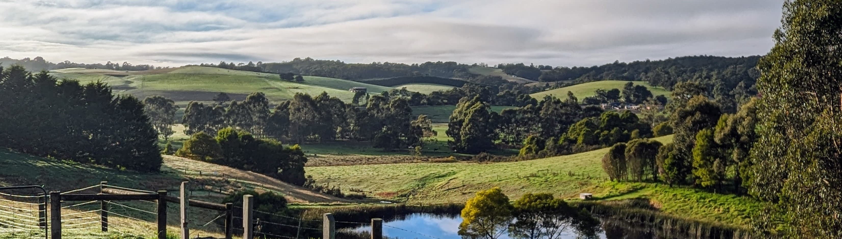 The beautiful view from our patio overlooking the paddocks and the dam