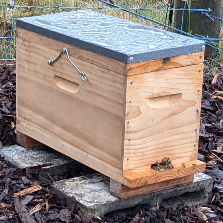 Transferring from a Nucleus (Nuc) Box to a Langstroth Hive