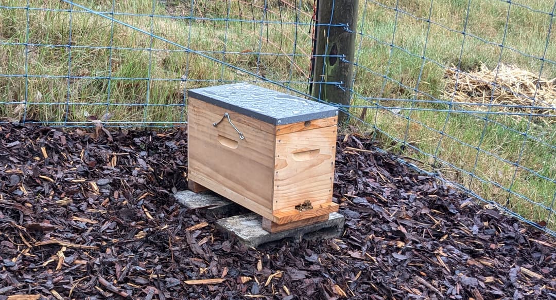 The nucleus box in position under some wet weather