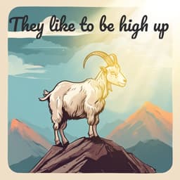 Goats like to be high up