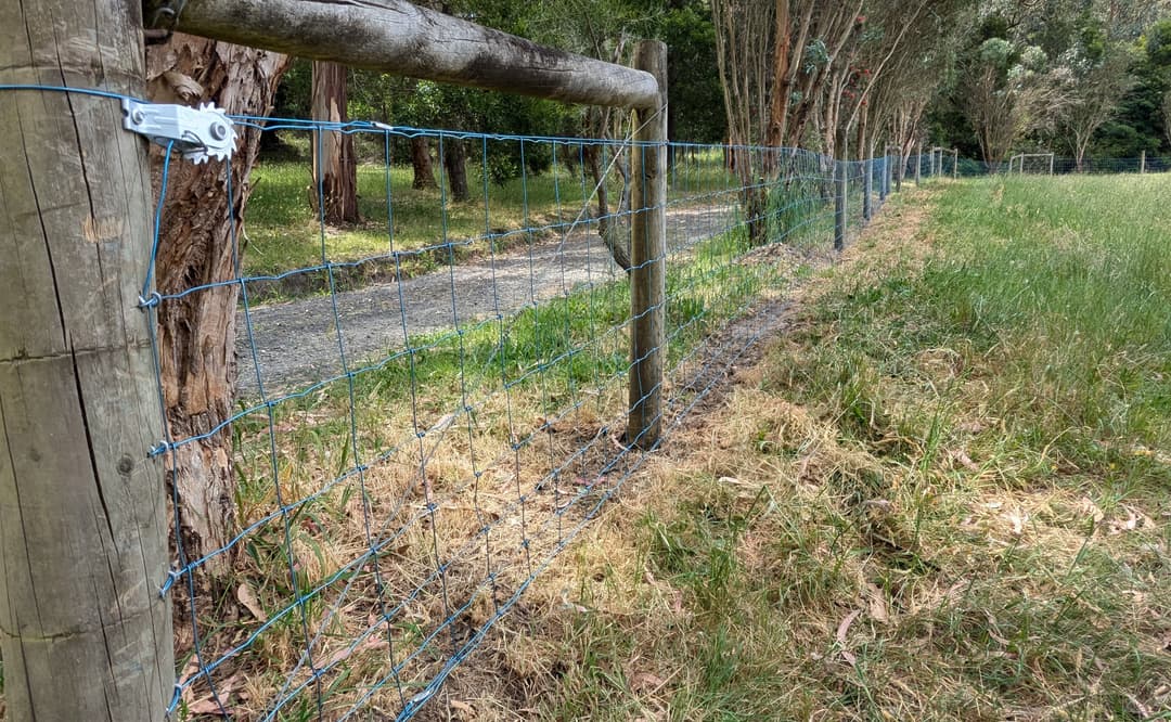 The new fence is up, but still a lot of work to do