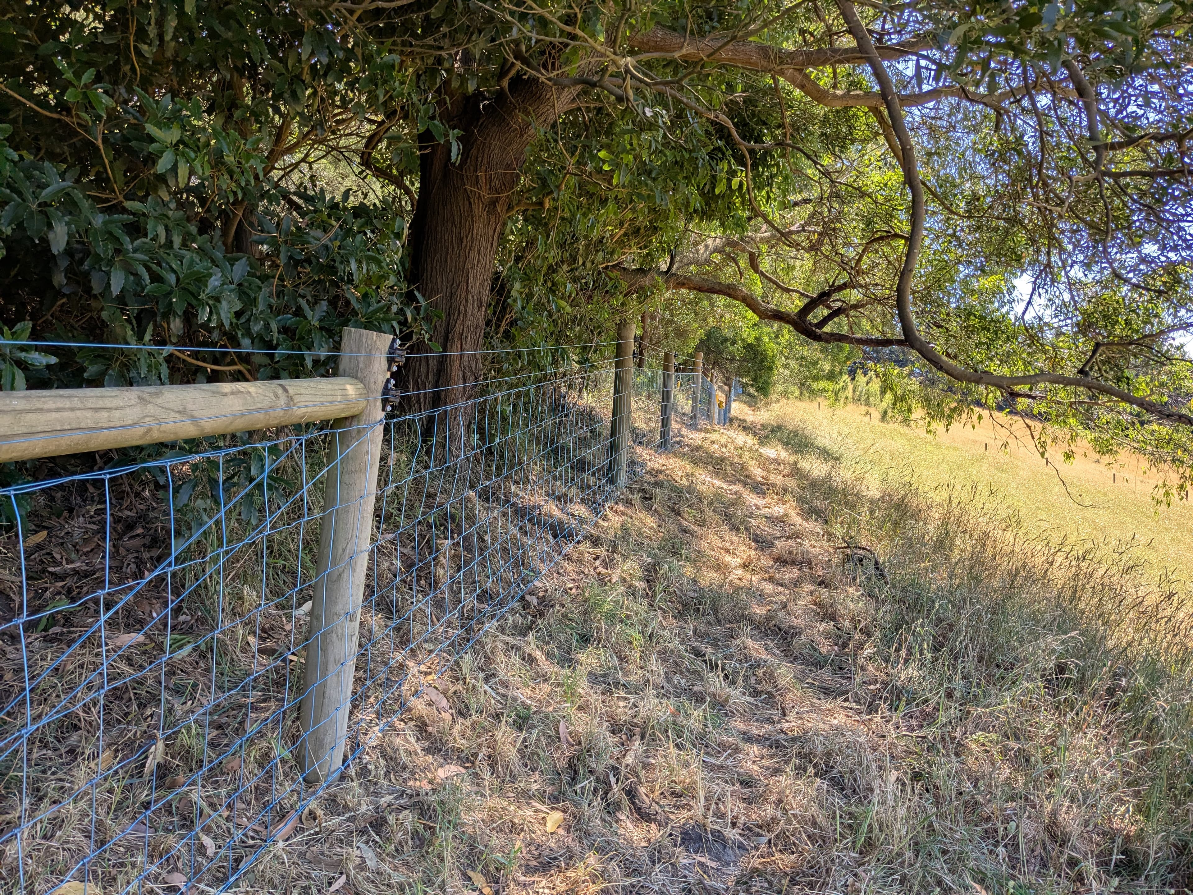 The fencing was all coming together! No more barbed wire!