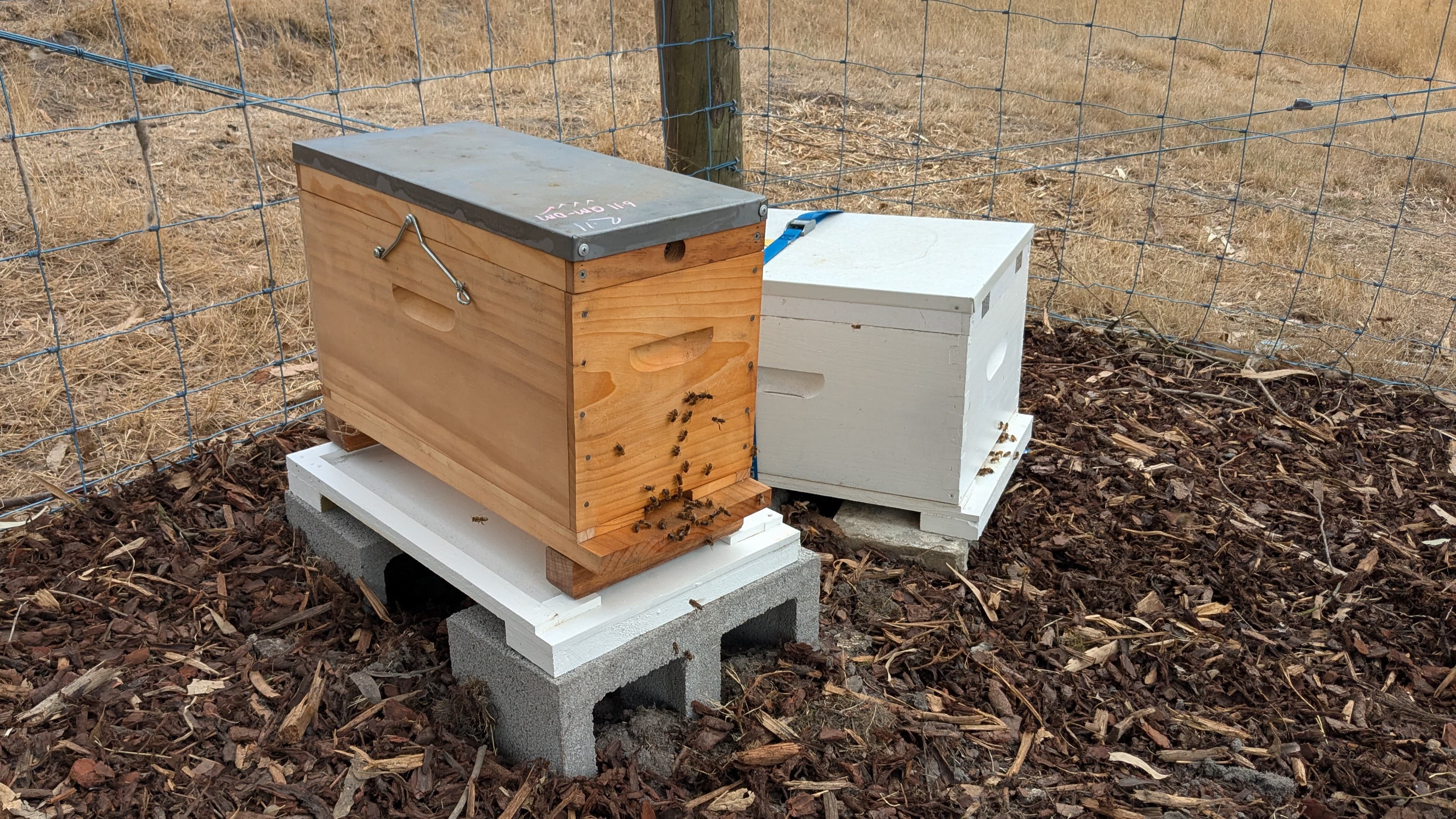 We used a small five frame hive for the swarm