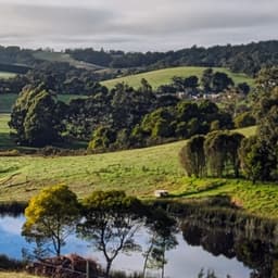 From Melbourne to West Gippsland: My Unexpected Transition into Hobby Farming