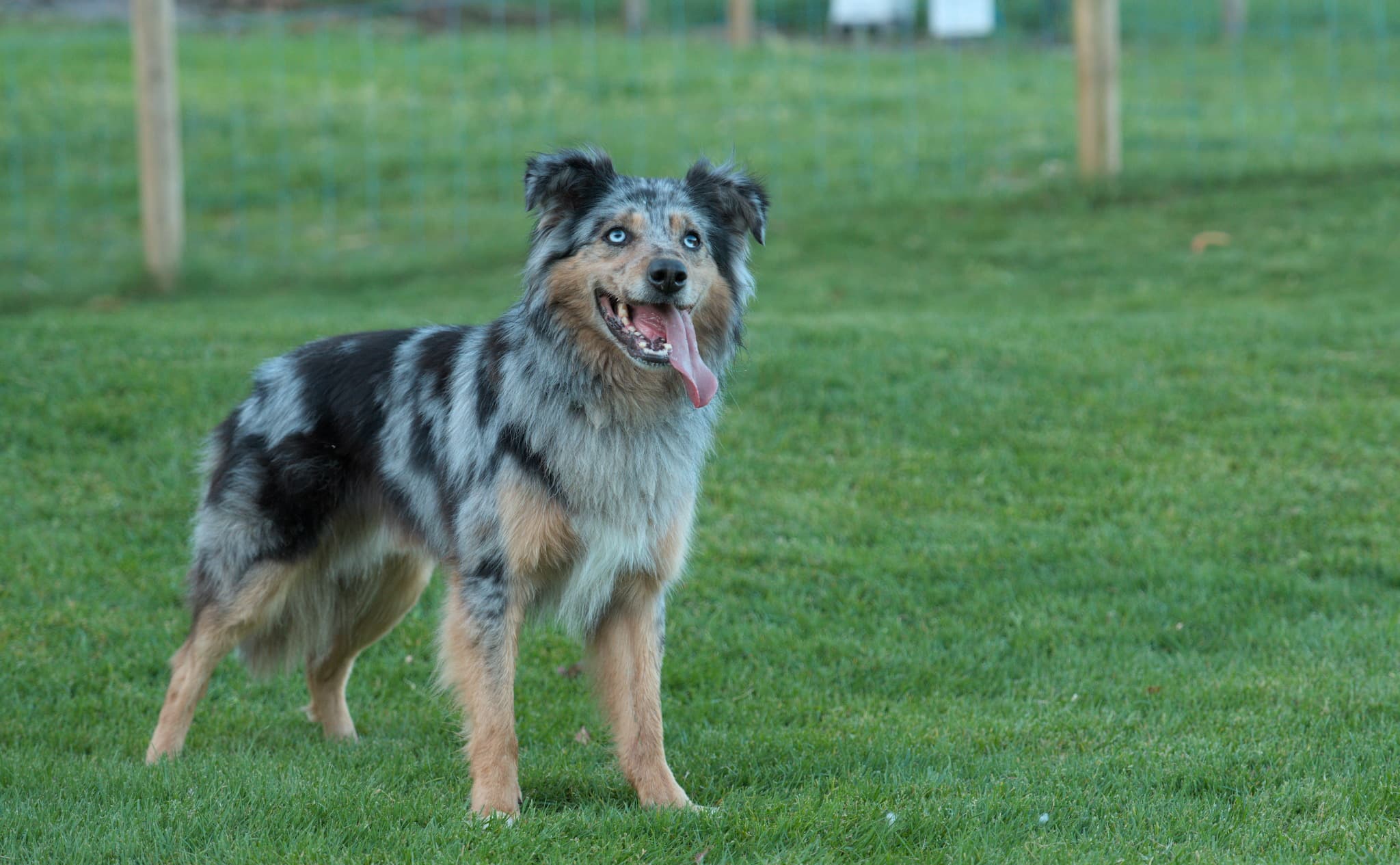 Stampa certainly looks happy being welcomed to his new home