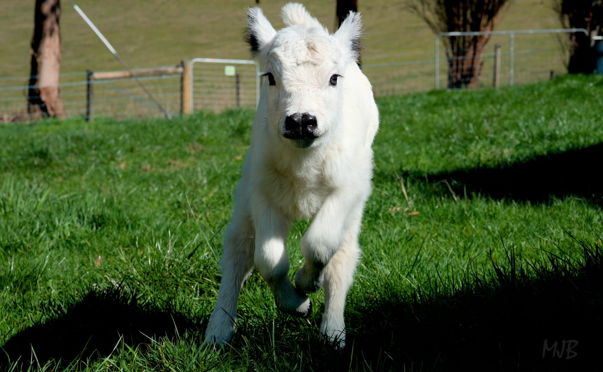 It took a few times, but every time she seemed to find a little more energy